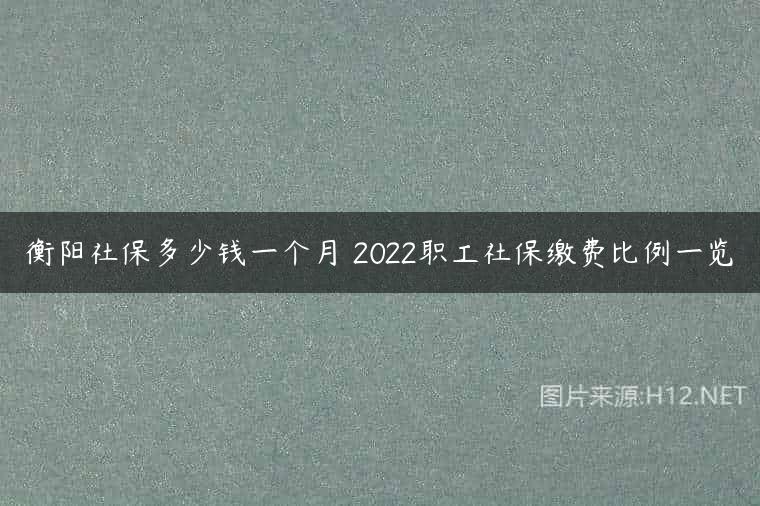 衡阳社保多少钱一个月 2022职工社保缴费比例一览