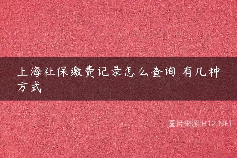 上海社保缴费记录怎么查询 有几种方式