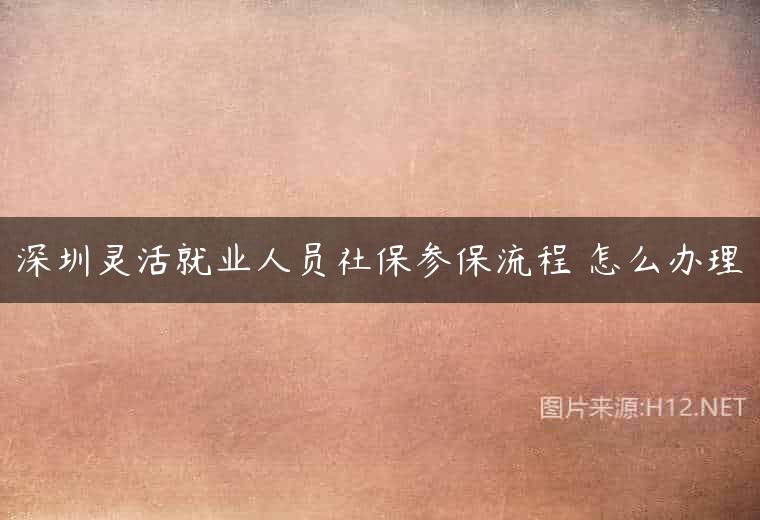 深圳灵活就业人员社保参保流程 怎么办理