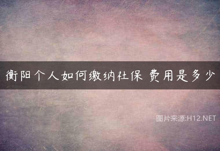 衡阳个人如何缴纳社保 费用是多少