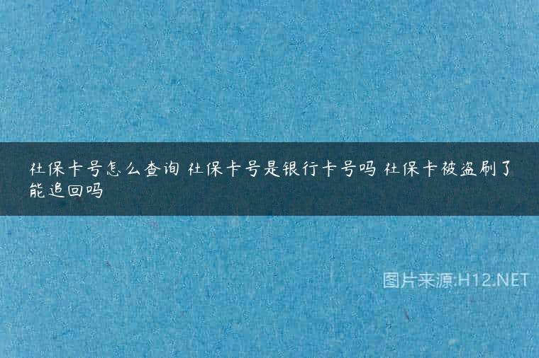 社保卡号怎么查询 社保卡号是银行卡号吗 社保卡被盗刷了能追回吗