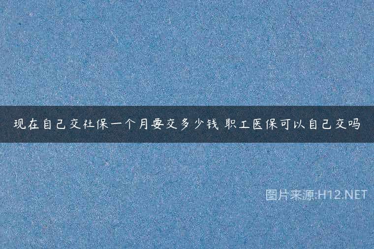 现在自己交社保一个月要交多少钱 职工医保可以自己交吗