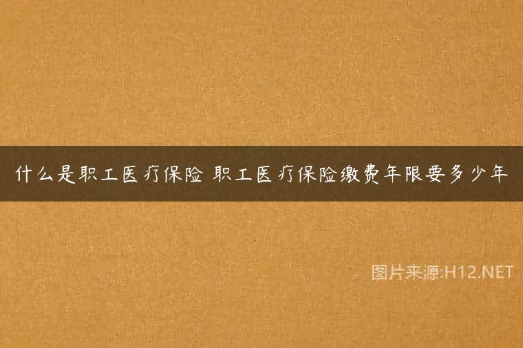 什么是职工医疗保险 职工医疗保险缴费年限要多少年