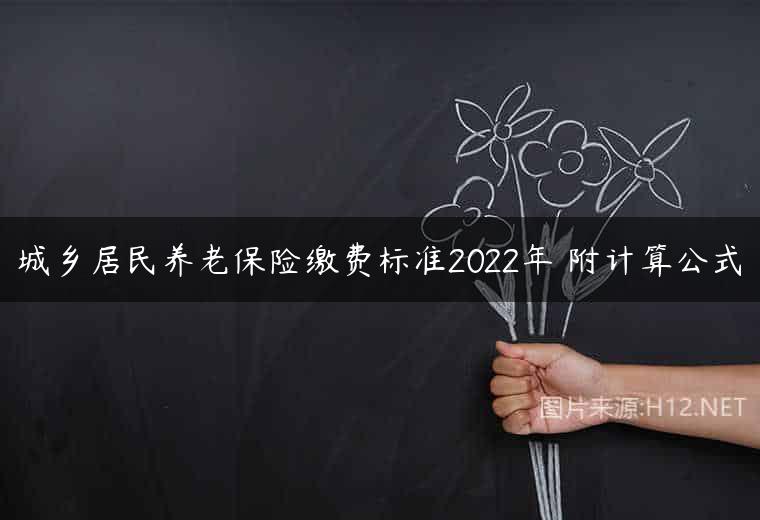 城乡居民养老保险缴费标准2022年 附计算公式