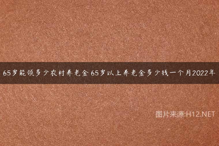 65岁能领多少农村养老金 65岁以上养老金多少钱一个月2022年