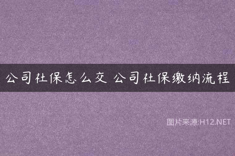 公司社保怎么交 公司社保缴纳流程