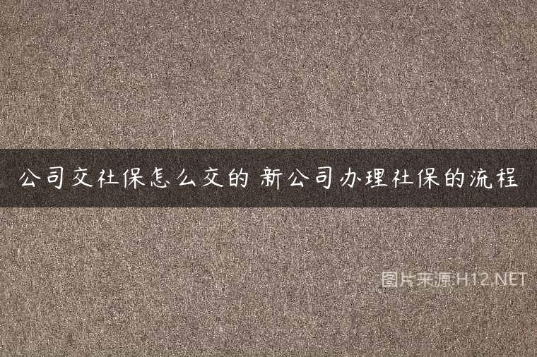 公司交社保怎么交的 新公司办理社保的流程