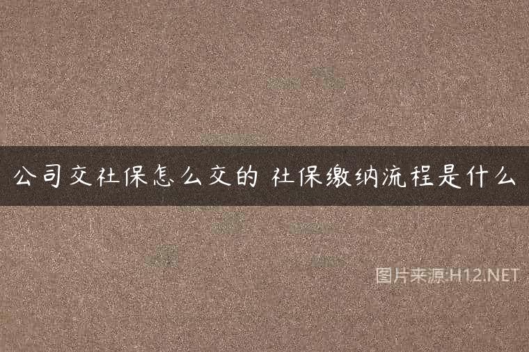 公司交社保怎么交的 社保缴纳流程是什么