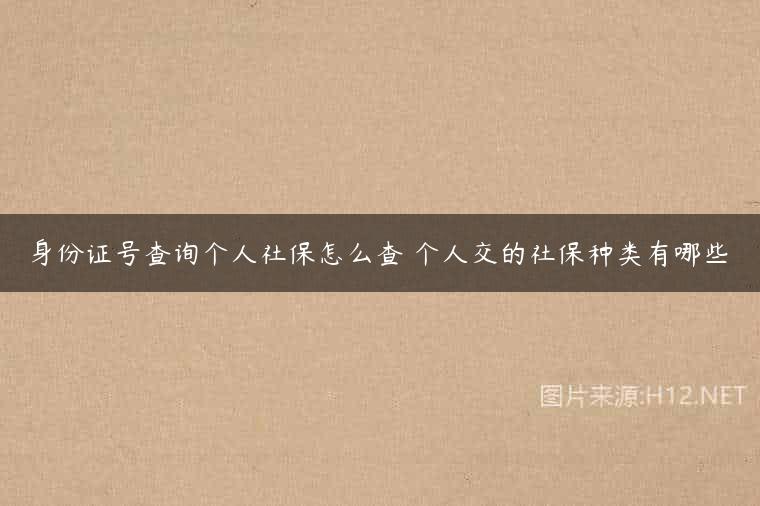 身份证号查询个人社保怎么查 个人交的社保种类有哪些