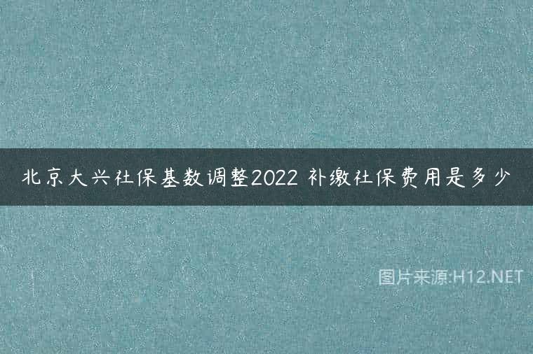 北京大兴社保基数调整2022 补缴社保费用是多少