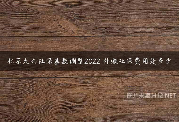 北京大兴社保基数调整2022 补缴社保费用是多少