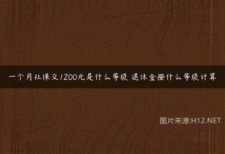 一个月社保交1200元是什么等级 退休金按什么等级计算