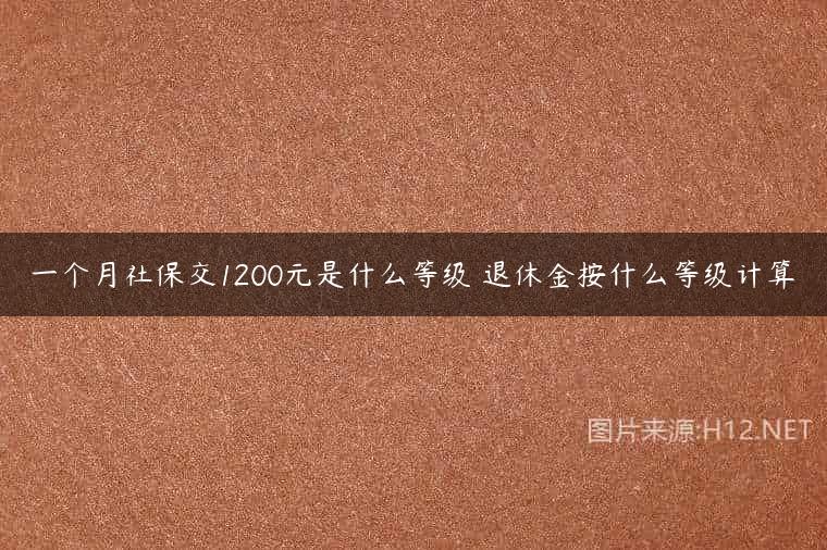 一个月社保交1200元是什么等级 退休金按什么等级计算
