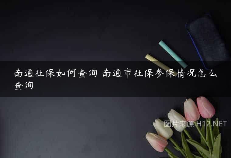 南通社保如何查询 南通市社保参保情况怎么查询