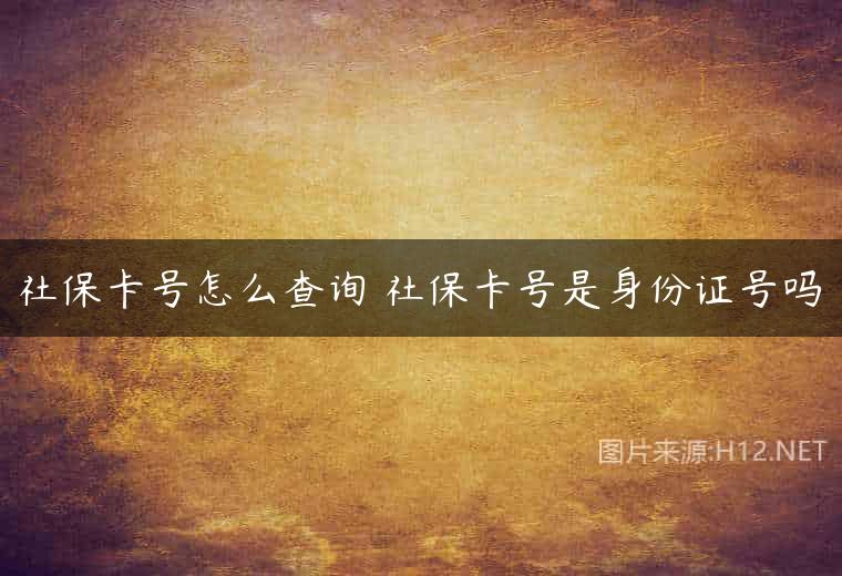 社保卡号怎么查询 社保卡号是身份证号吗