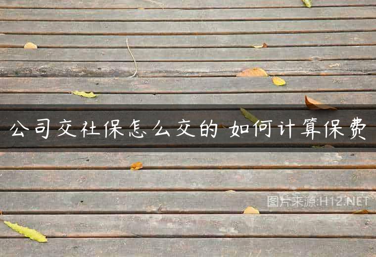 公司交社保怎么交的 如何计算保费