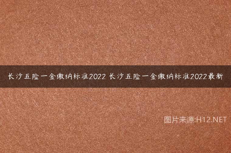 长沙五险一金缴纳标准2022 长沙五险一金缴纳标准2022最新
