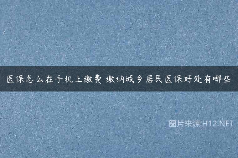 医保怎么在手机上缴费 缴纳城乡居民医保好处有哪些