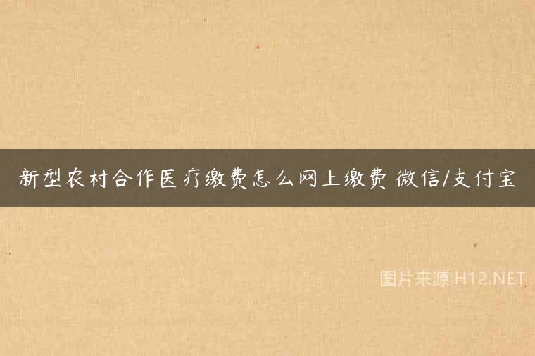 新型农村合作医疗缴费怎么网上缴费 微信/支付宝