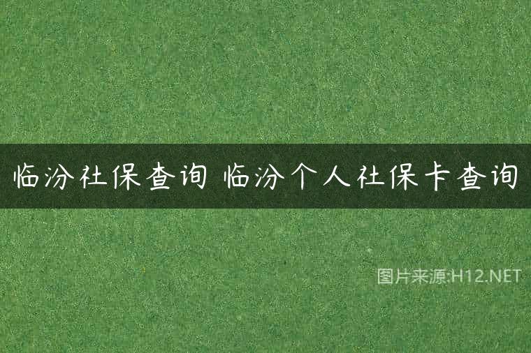 临汾社保查询 临汾个人社保卡查询