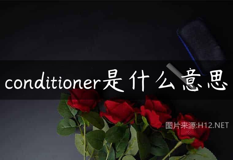 conditioner是什么意思