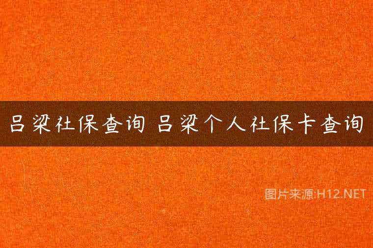 吕梁社保查询 吕梁个人社保卡查询