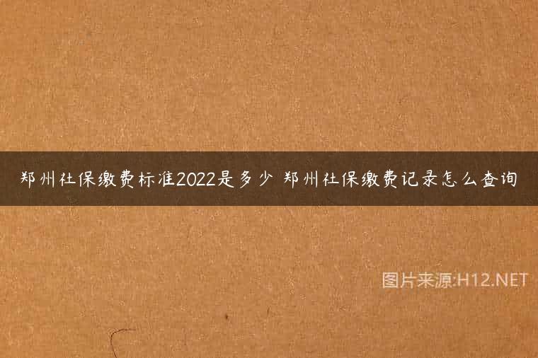 郑州社保缴费标准2022是多少 郑州社保缴费记录怎么查询