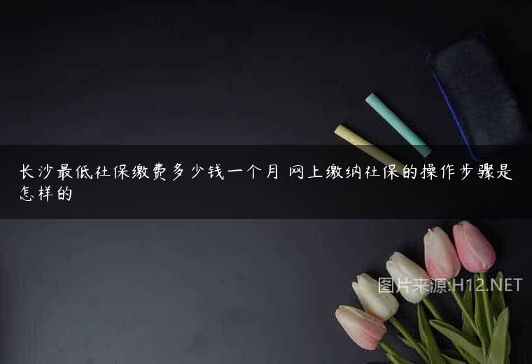 长沙最低社保缴费多少钱一个月 网上缴纳社保的操作步骤是怎样的