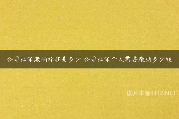 公司社保缴纳标准是多少 公司社保个人需要缴纳多少钱