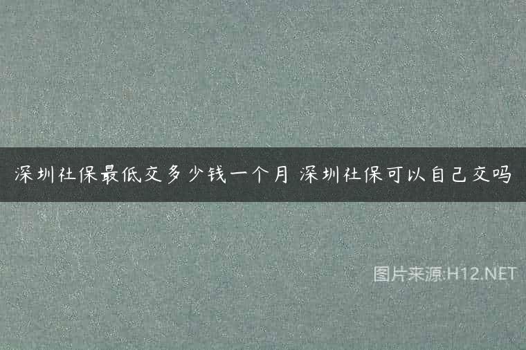 深圳社保最低交多少钱一个月 深圳社保可以自己交吗