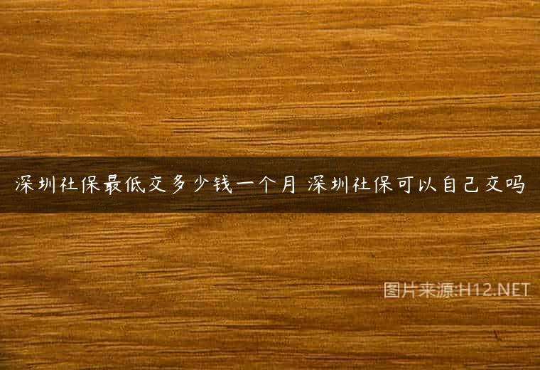 深圳社保最低交多少钱一个月 深圳社保可以自己交吗