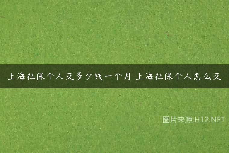 上海社保个人交多少钱一个月 上海社保个人怎么交