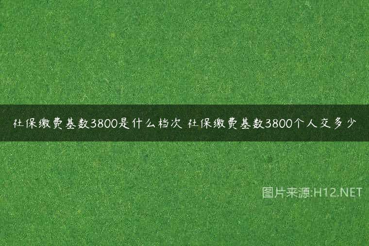 社保缴费基数3800是什么档次 社保缴费基数3800个人交多少