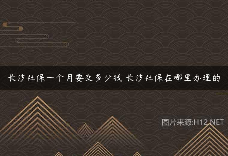 长沙社保一个月要交多少钱 长沙社保在哪里办理的