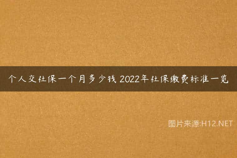 个人交社保一个月多少钱 2022年社保缴费标准一览