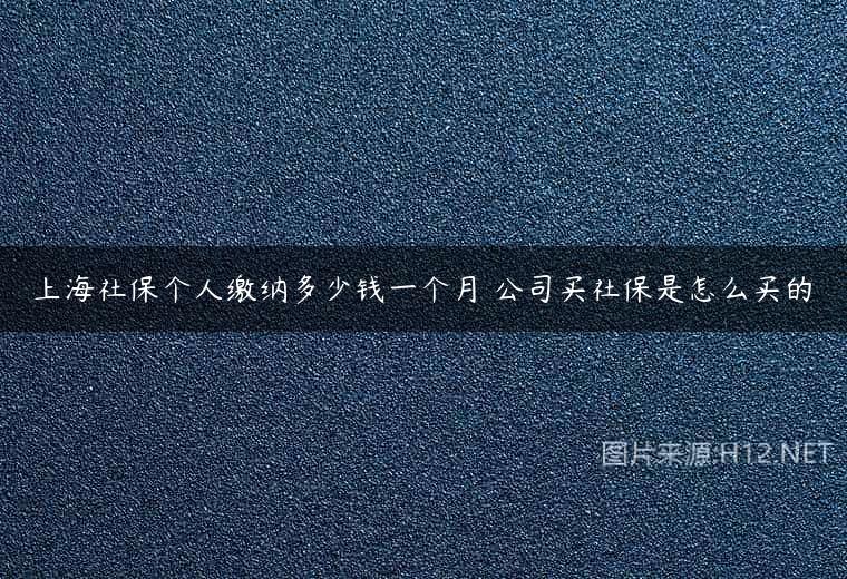 上海社保个人缴纳多少钱一个月 公司买社保是怎么买的