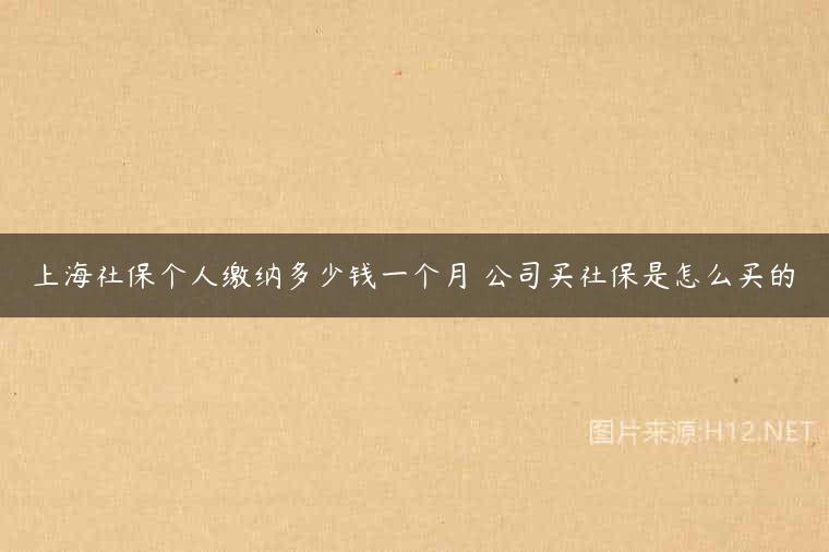 上海社保个人缴纳多少钱一个月 公司买社保是怎么买的