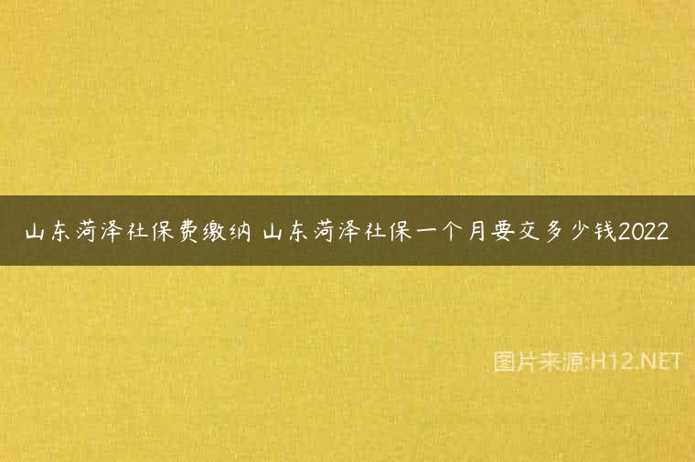 山东菏泽社保费缴纳 山东菏泽社保一个月要交多少钱2022