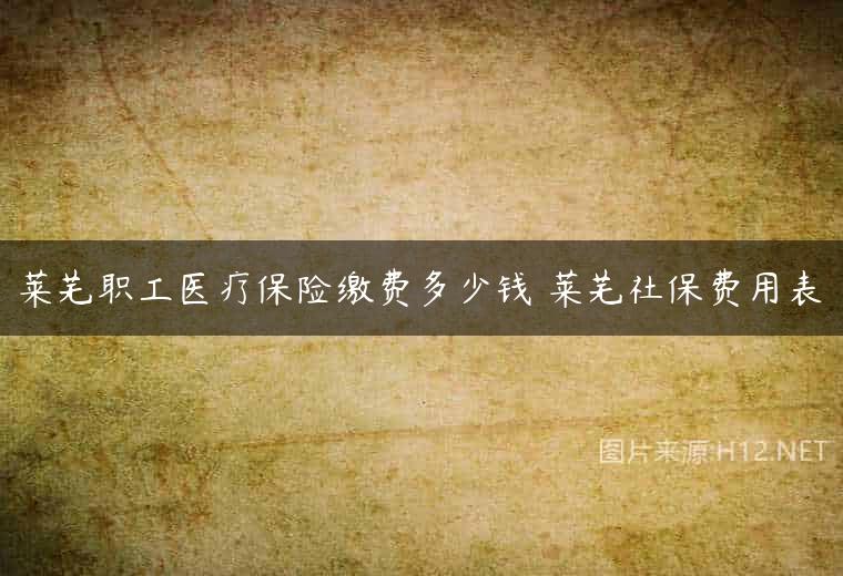 莱芜职工医疗保险缴费多少钱 莱芜社保费用表