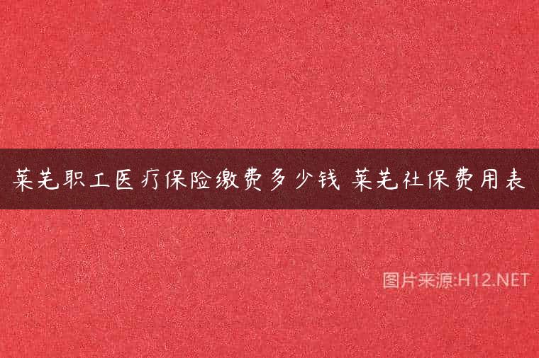莱芜职工医疗保险缴费多少钱 莱芜社保费用表