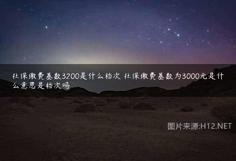 社保缴费基数3200是什么档次 社保缴费基数为3000元是什么意思是档次吗