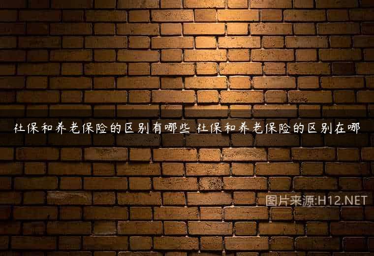 社保和养老保险的区别有哪些 社保和养老保险的区别在哪