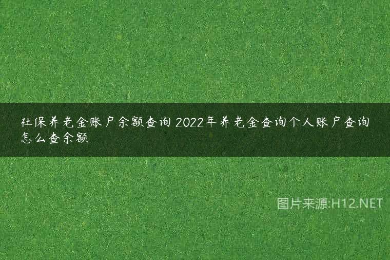 社保养老金账户余额查询 2022年养老金查询个人账户查询怎么查余额