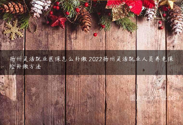 扬州灵活就业医保怎么补缴 2022扬州灵活就业人员养老保险补缴方法