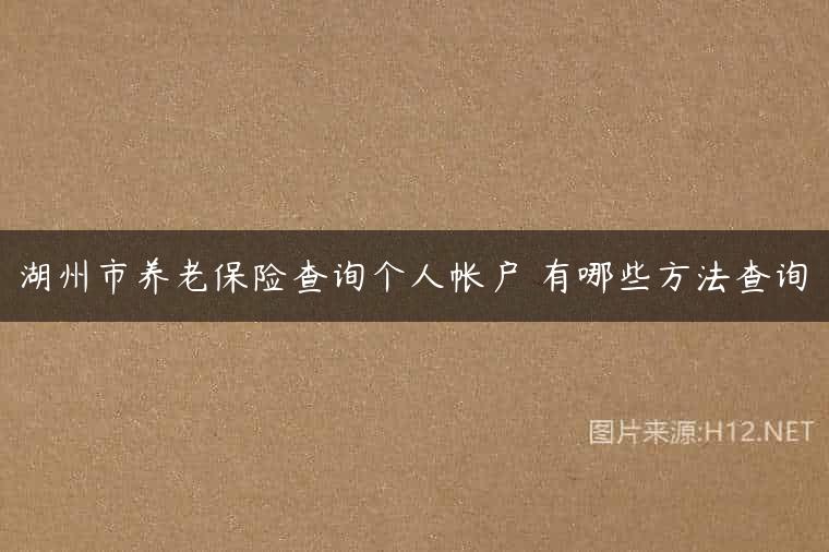 湖州市养老保险查询个人帐户 有哪些方法查询