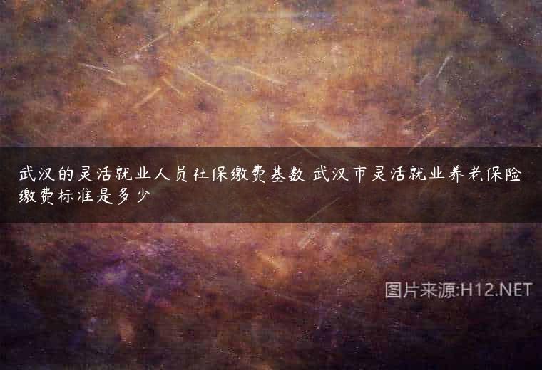 武汉的灵活就业人员社保缴费基数 武汉市灵活就业养老保险缴费标准是多少