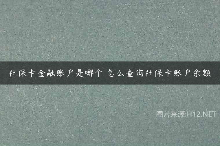 社保卡金融账户是哪个 怎么查询社保卡账户余额