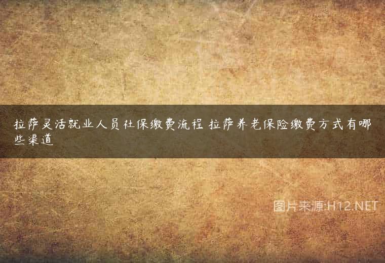 拉萨灵活就业人员社保缴费流程 拉萨养老保险缴费方式有哪些渠道