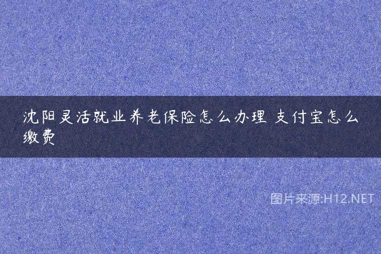 沈阳灵活就业养老保险怎么办理 支付宝怎么缴费