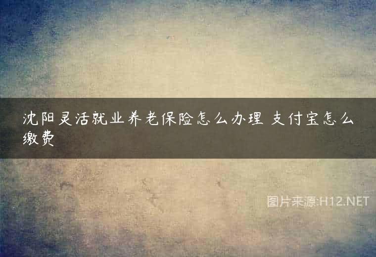 沈阳灵活就业养老保险怎么办理 支付宝怎么缴费